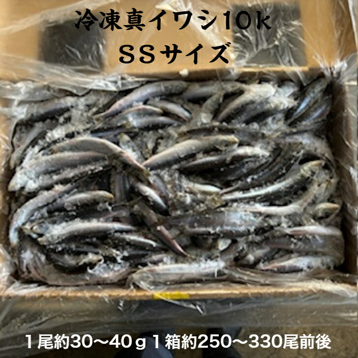 楽天市場】冷凍真いわし10k 三陸産 業務用 : 三上商店 楽天市場店