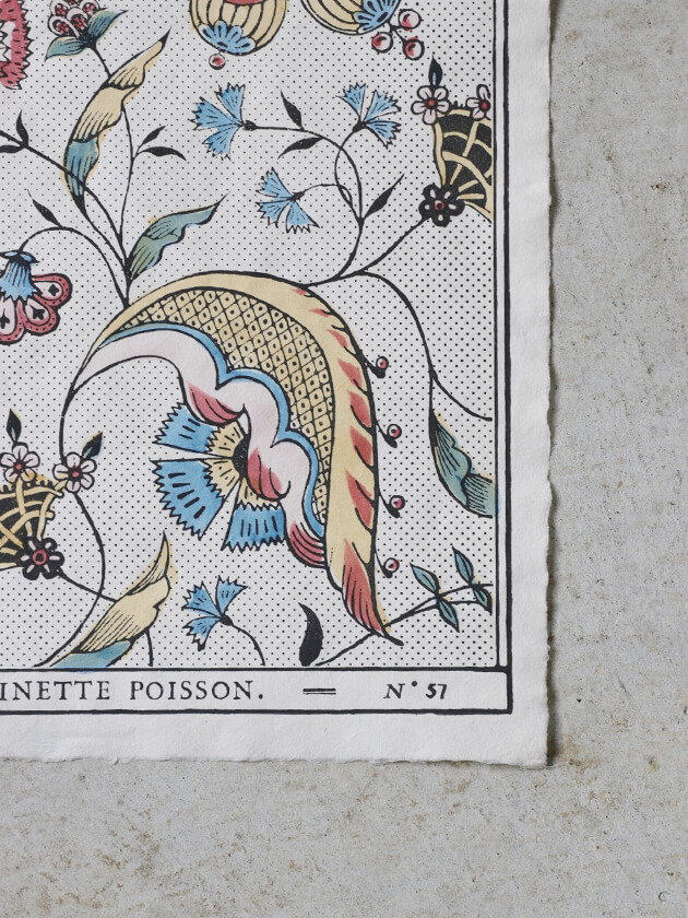 楽天市場】ドミノペーパー 57A Antoinette Poisson // アントワネット