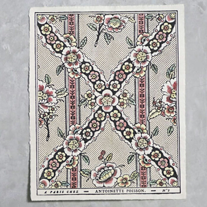 楽天市場】ドミノペーパー 1B 4色 Antoinette Poisson