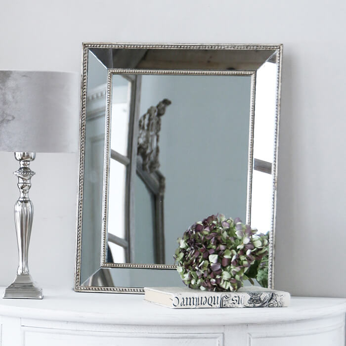 楽天市場】ミラー アネット シルバーフレーム SGD // サラグレース