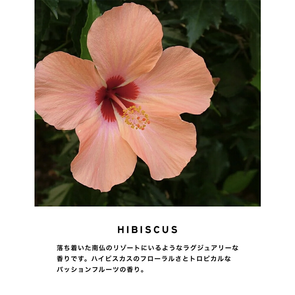 楽天市場】コンパウンド オードトワレ NO.3 compound 【SHOLAYERED