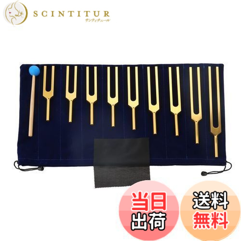 音叉セット」の人気商品一覧 | 安い商品を通販サイトから探す - 価格.com