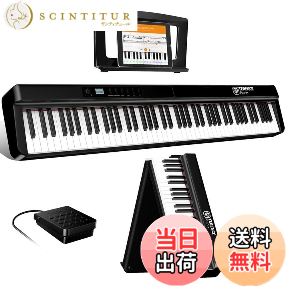 terence 電子ピアノ」の人気商品一覧 | 安い商品を通販サイトから探す