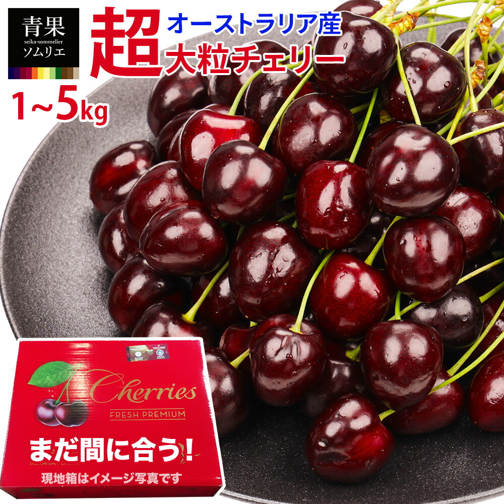 楽天市場】＜シーズン終了＞ 超大粒 PREMIUM チェリー 完熟 28mm 9.5R