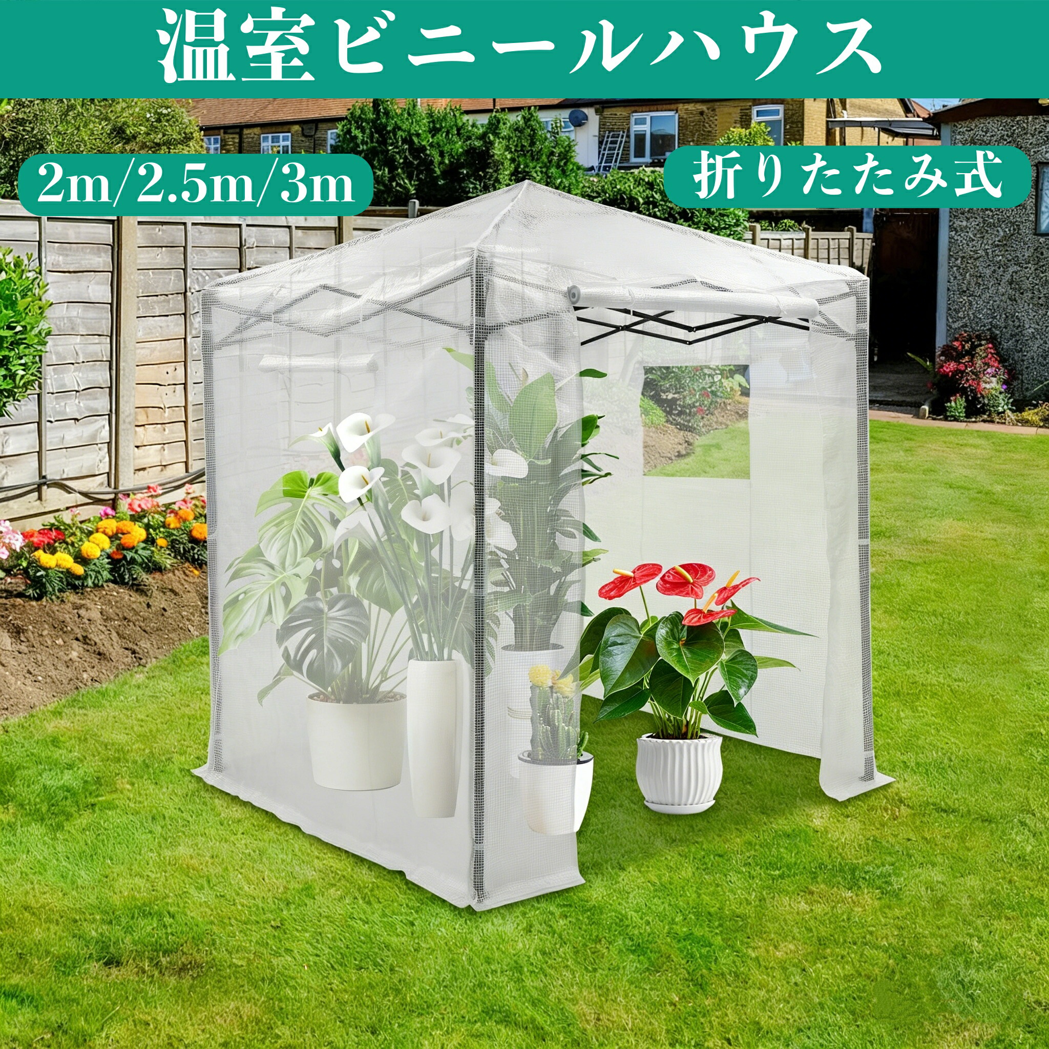 楽天市場】ビニール温室 折りたたみ 2m/2.5m/3m 農業ビニールハウス