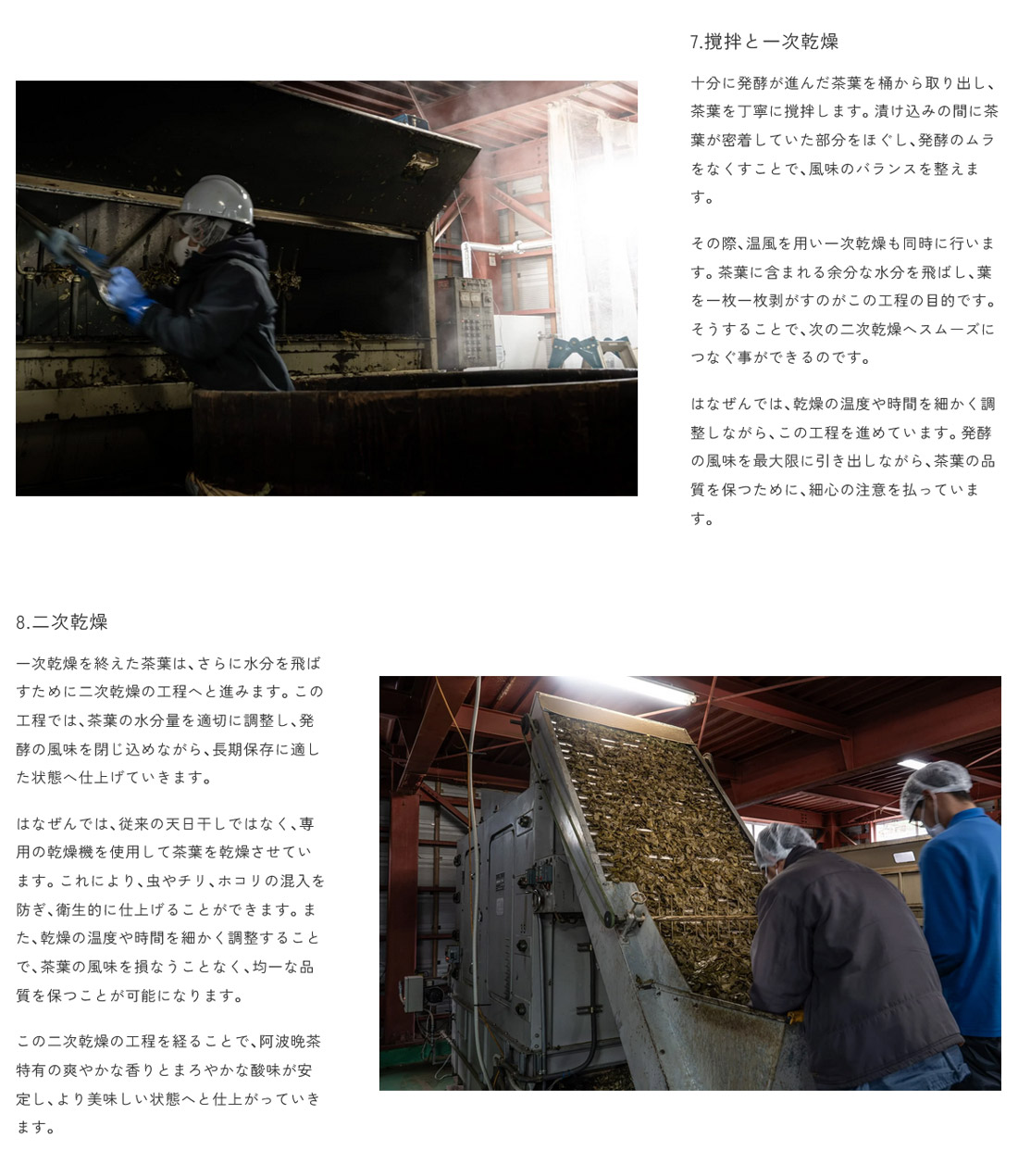 楽天市場】阿波晩茶 ティーパック 4袋セット 伝統樽漬 発酵茶 100