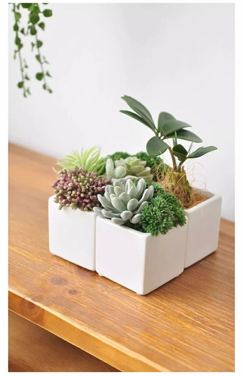 楽天市場】「送料無料」フェイクグリーン 観葉植物 フェイク 人工観葉