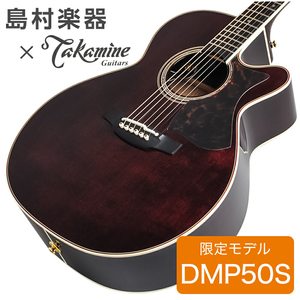 激希少・美品】Takamine PTU408K N エレアコ セミハードケース 激希少