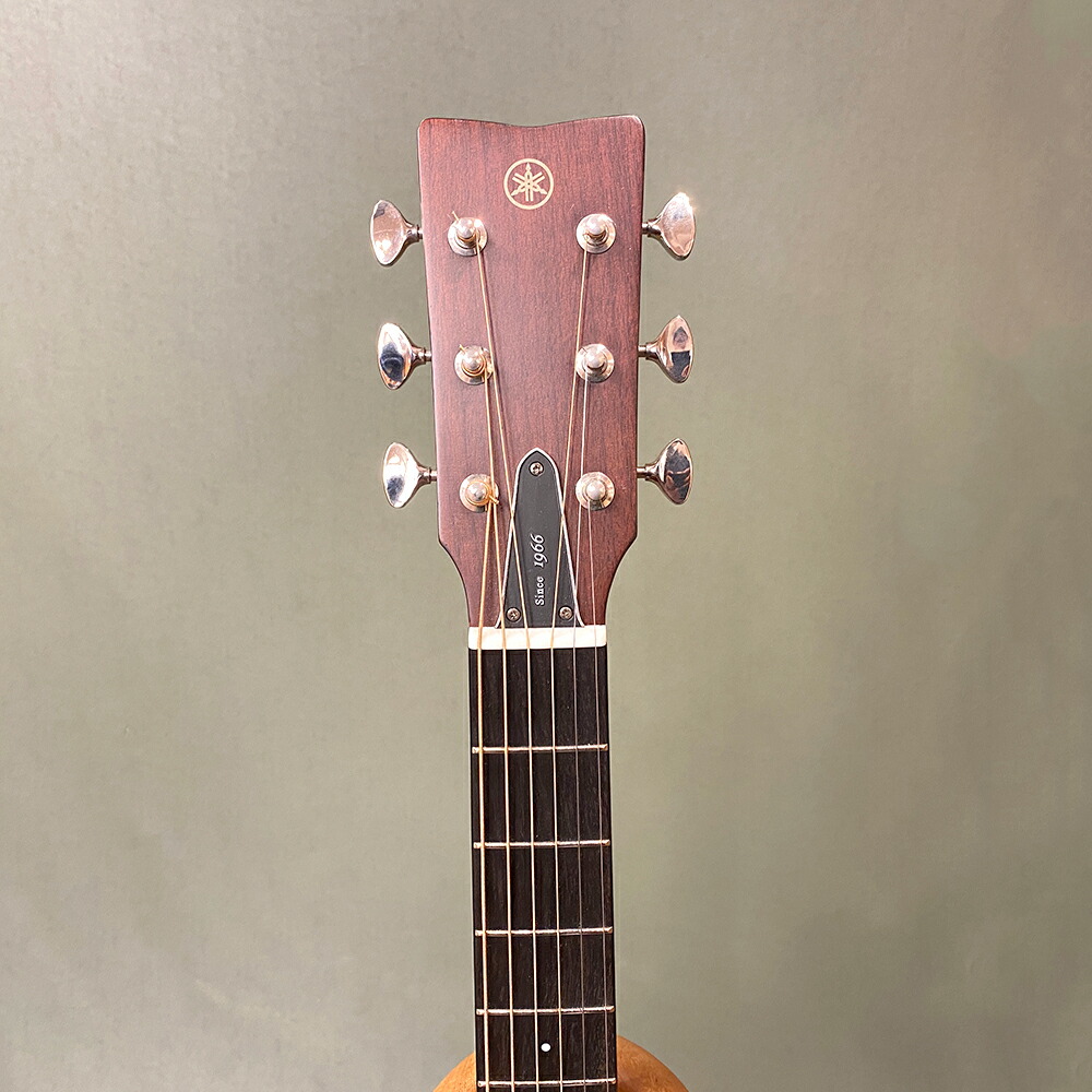 楽天市場】【新品】ヤマハ FG3 レッドラベルシリーズ YAMAHA FG3 全面