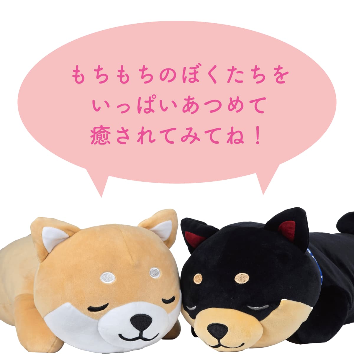 楽天市場】旅するマメしば 抱きぐるみ まめた くろまめ まめこ [ 抱き