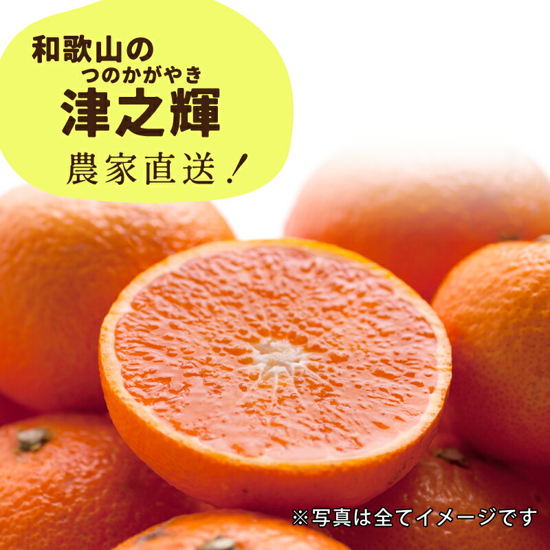 楽天市場】特選 津之輝 送料無料 1kg ～ 10kg サイズ混合 津の輝き