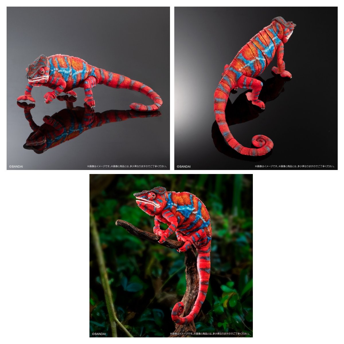 楽天市場】バンダイ いきもの大図鑑プレミアム パンサーカメレオン