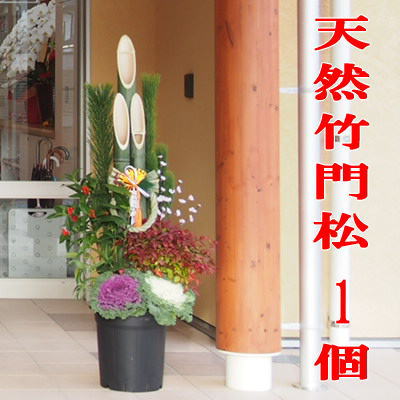 楽天市場】年内お届け間に合います。「楽天ショップ・オブ・ザ・マンス