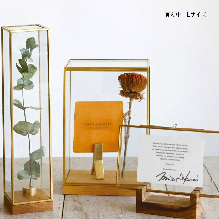 楽天市場】【在庫限りの特別価格】公式 shesay BRASSフレーム