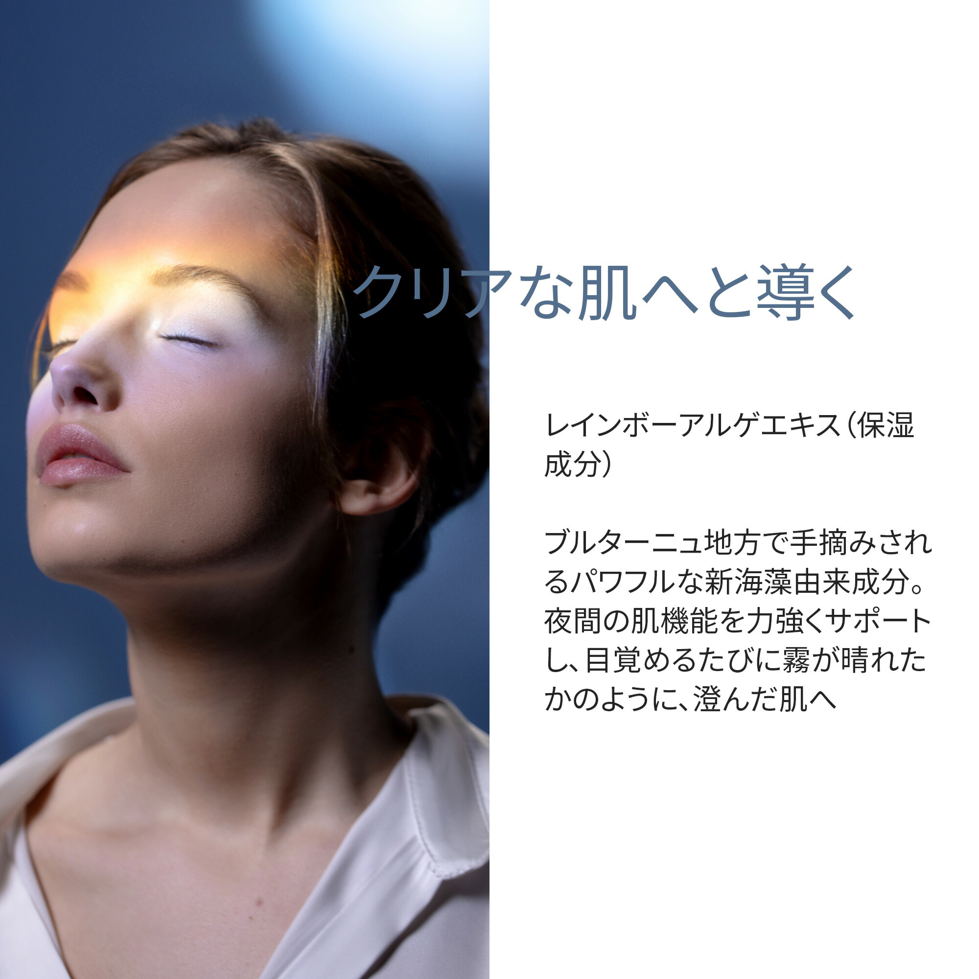 楽天市場】【公式】 シスレー フィトブラン ラ ニュイ 50mL ナイト