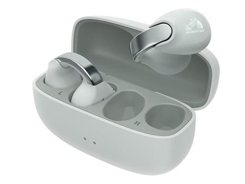 楽天市場】JVCケンウッド Victor HA-NP1T-H ワイヤレスイヤホン