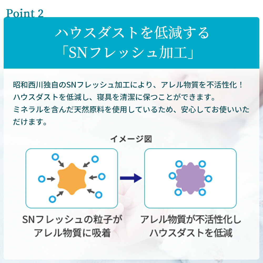 楽天市場】【P10倍 ※2/25迄】昭和西川公式 SNフレッシュプロ 掛け