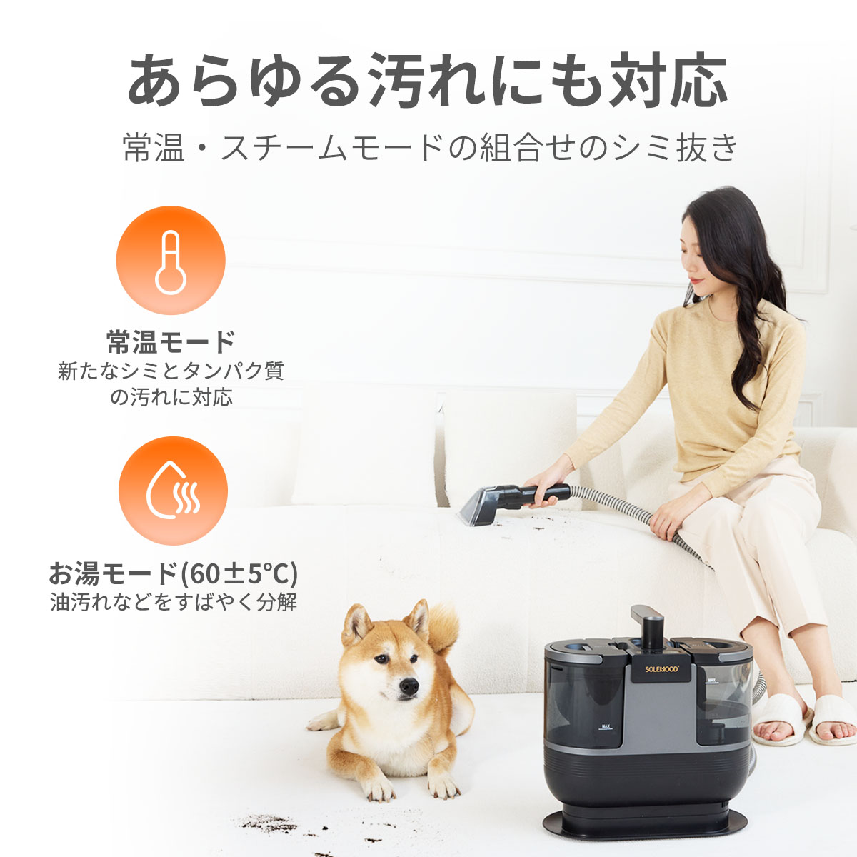 楽天市場】＼月末セールクーポンで21,800円／ カーペットクリーナー