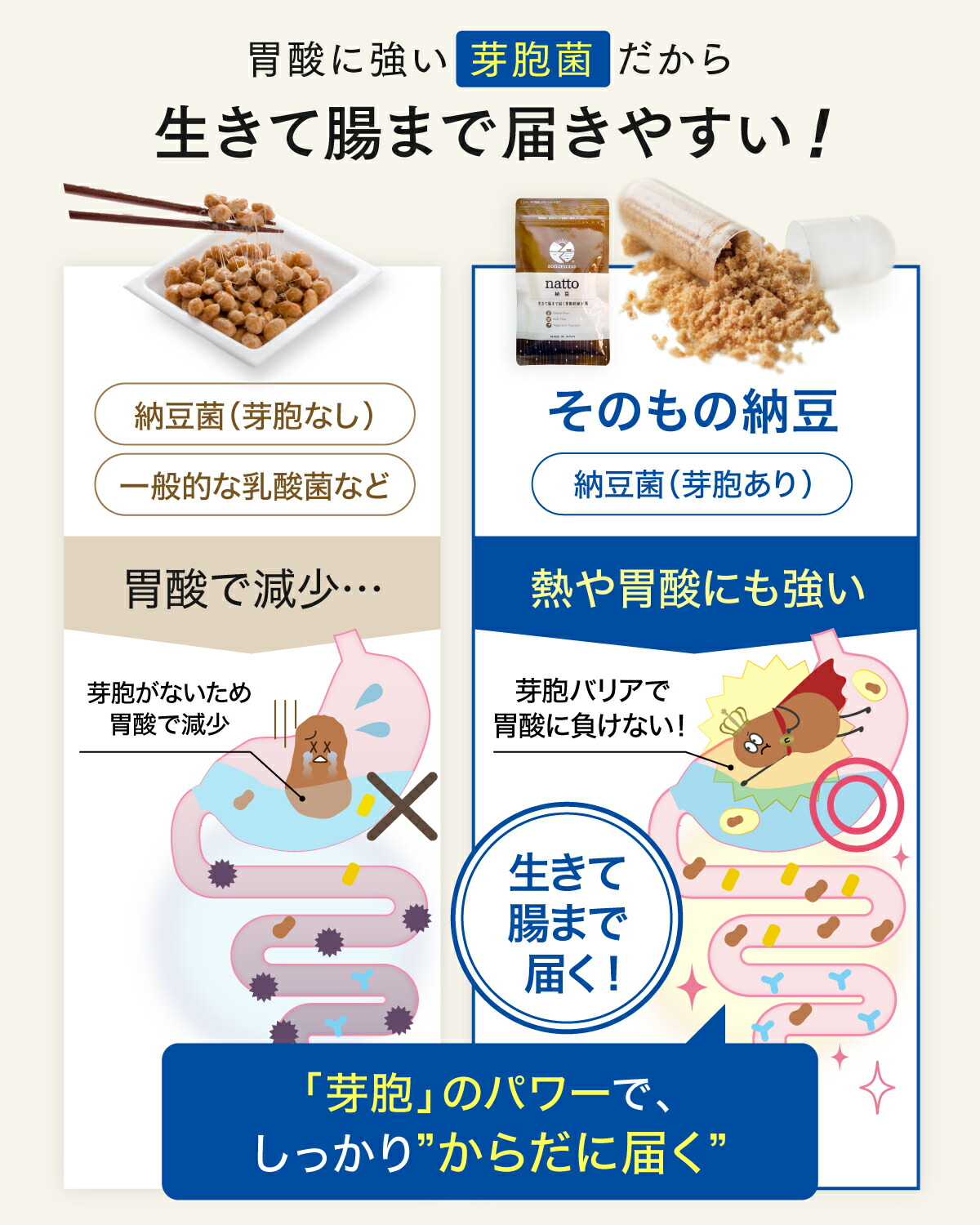 楽天市場】まるで飲む納豆?そのもの納豆(カプセル)90粒【公式】生きた