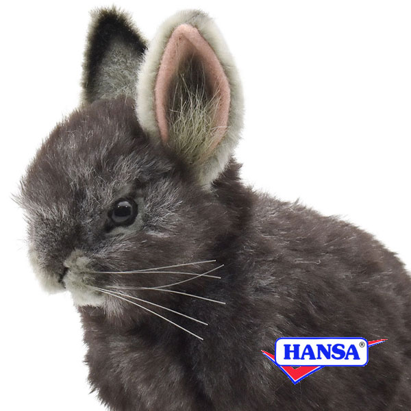 楽天市場】HANSA ハンサ ぬいぐるみ8129 ピグミーラビット ウサギ