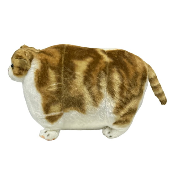 楽天市場】ふとっちぃZoo にゃんこ スコティッシュフォールド 猫の