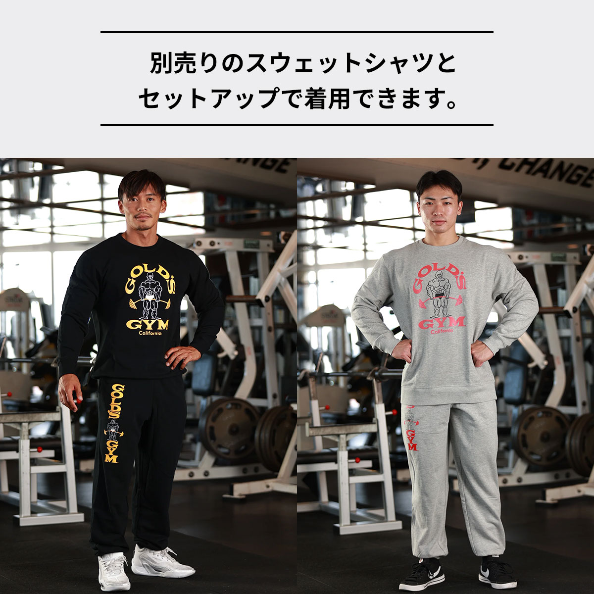 楽天市場】【送料無料】ゴールドジム GOLD'S GYM ベーシックスウェット
