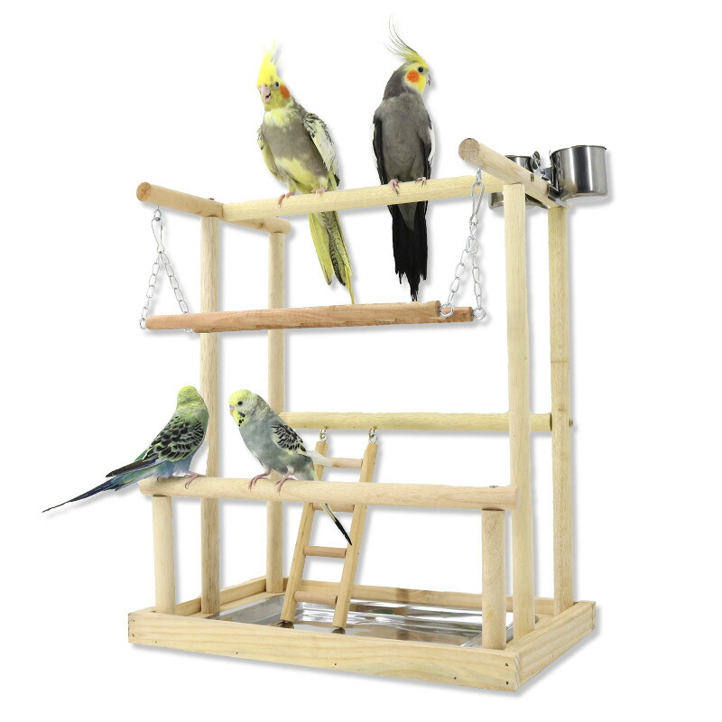 楽天市場】 インコ オウム 遊び場 二層 バード アスレチック 玩具
