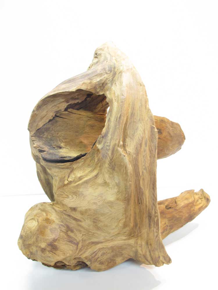 楽天市場】屋久杉 自然オブジェ仕様：無垢 / 素材：屋久杉（流木 置物