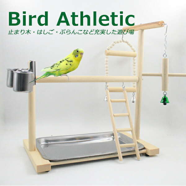 楽天市場】おもちゃ 吊り下げ 木 小鳥 止まり木 タワー インコ 木製 鳥