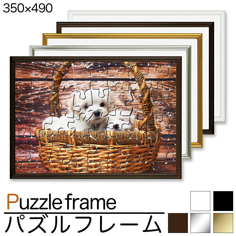 pazuruframe350-490.jpg