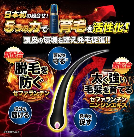 楽天市場】【公式】ニューモV 育毛剤 医薬部外品 送料無料 養毛剤 薄毛