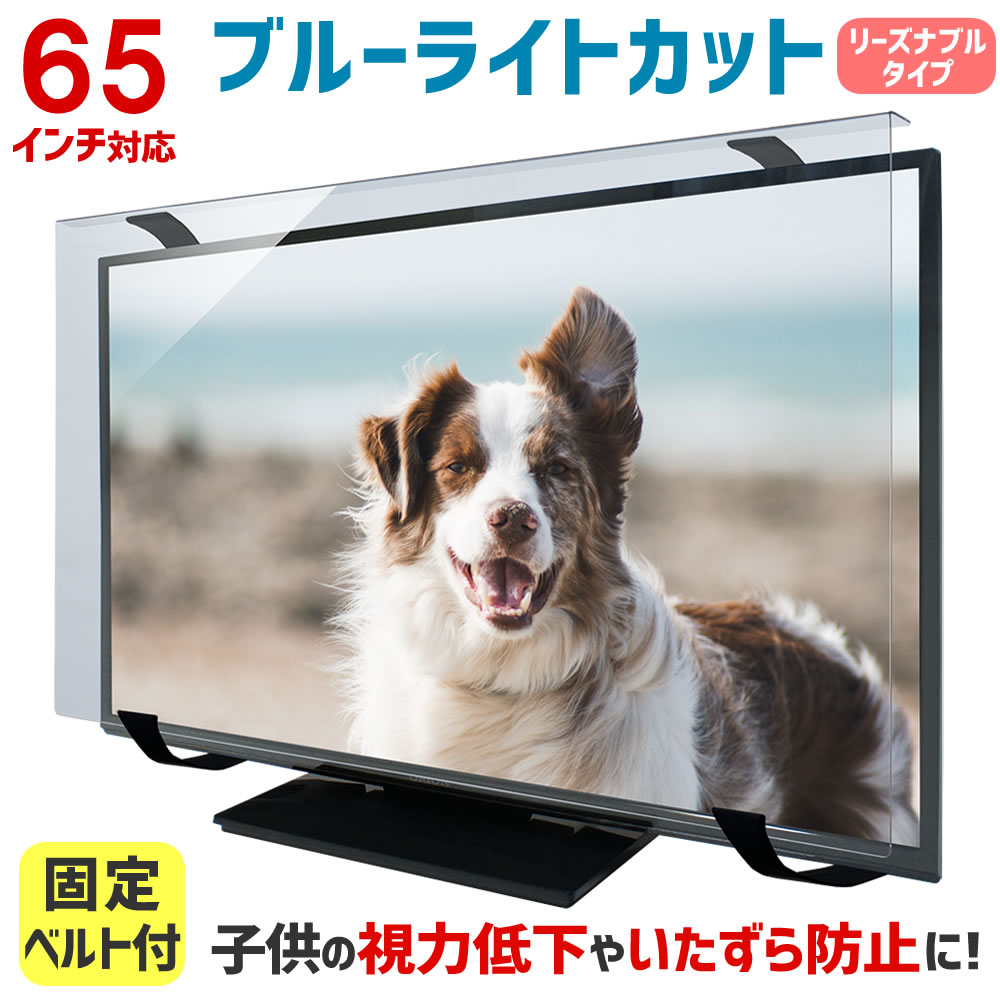楽天市場】ブルーライトカット 液晶テレビ保護パネル 65インチ 65型