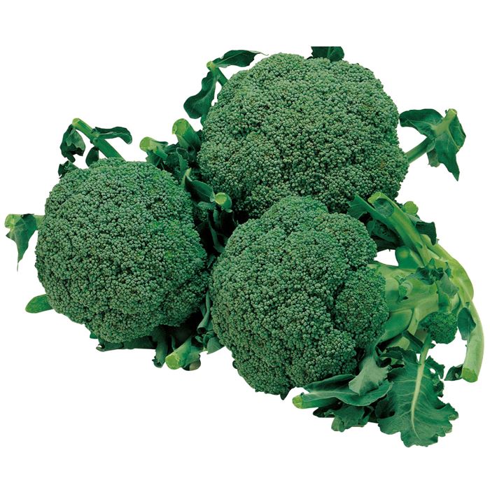 楽天市場】サカタのタネ ブロッコリー 緑嶺 ペレット5000粒 : 種苗