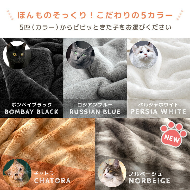 楽天市場】【正午~クーポン5％引】 ≪ECヒット商品GP受賞≫ もはや