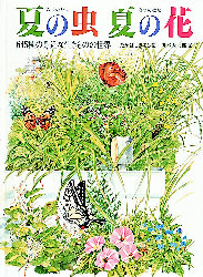 楽天市場】【3980円以上送料無料】夏の虫夏の花 645種の身近な