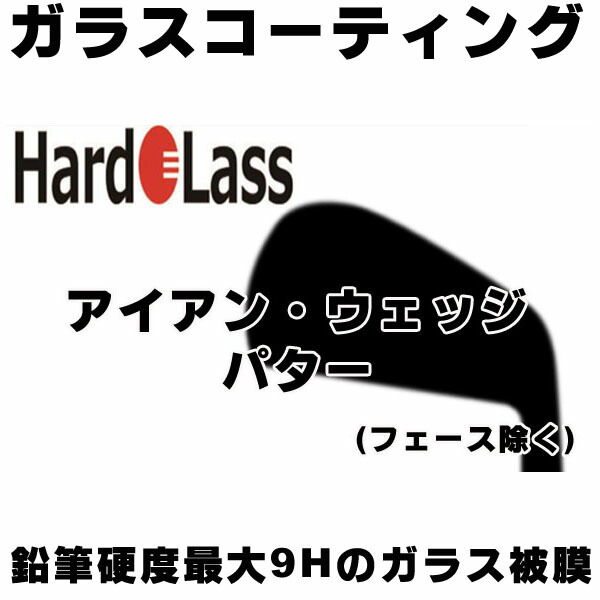 楽天市場】ハドラス ガラスコーティング アイアンヘッド コーティング