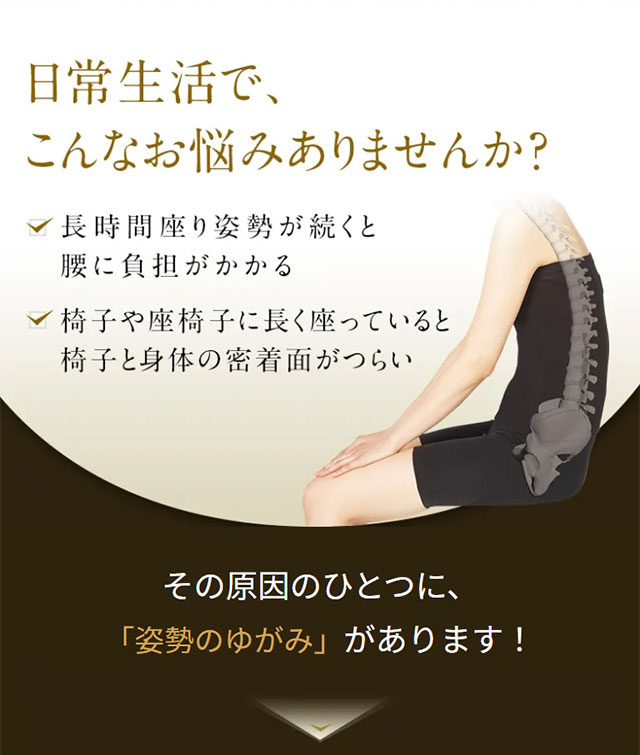 楽天市場】【メーカー正規販売店】 スタイルプレミアム デラックス