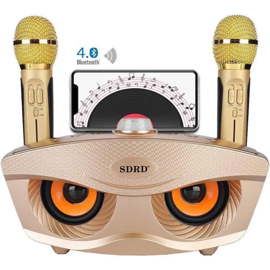 楽天市場】手持ちマイク2本セット Bluetooth カラオケマイク