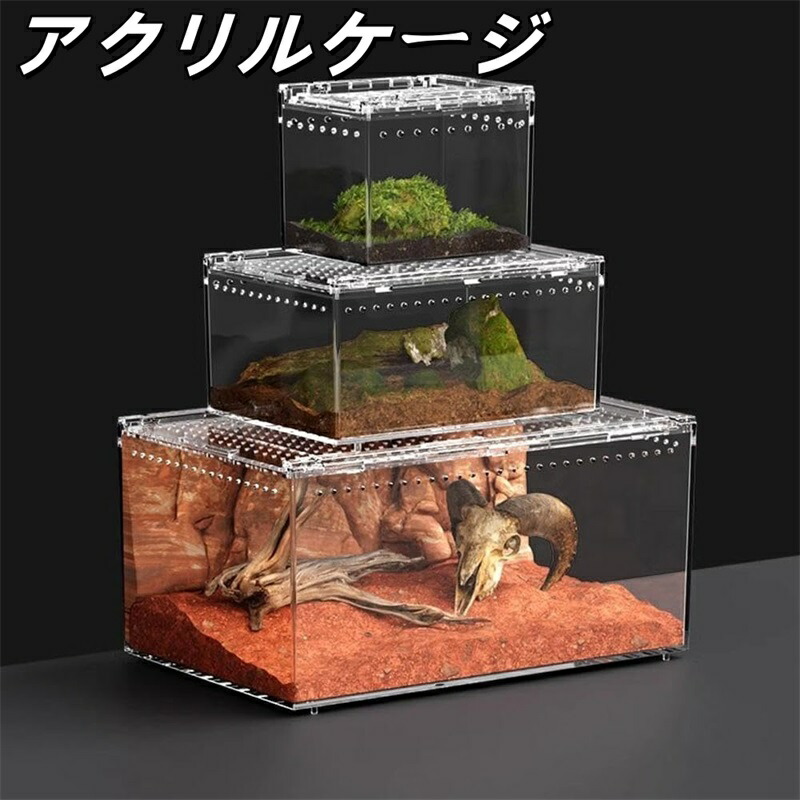 楽天市場】爬虫類ケージ アクリルケージ 爬虫類 飼育ケース 透明 通気