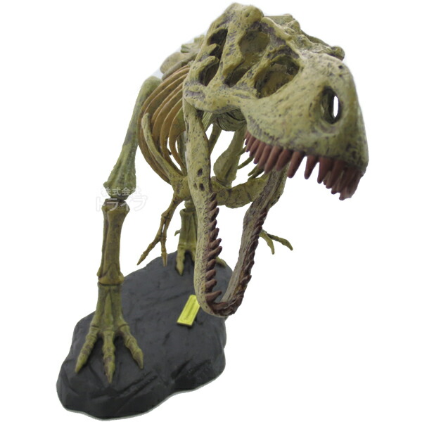 楽天市場】T-REX骨格組立キット ティラノサウルス・レックス CL-664K
