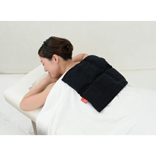 楽天市場】フィジオパック ウォーマーミニ PPW-M01 酒井医療 温熱