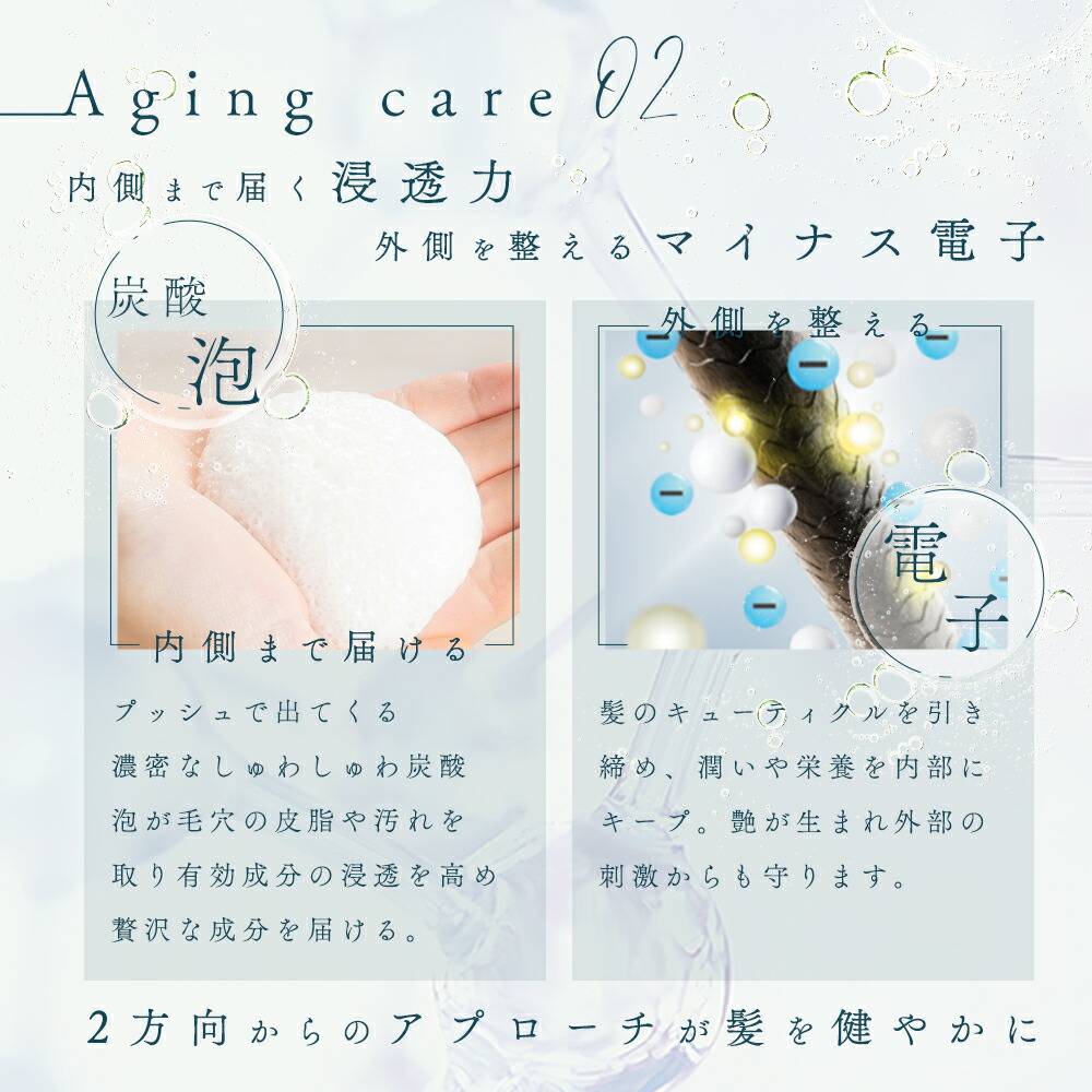 楽天市場】正規代理店 ルーヴルドー 炭酸泡 トリートメント エイジング