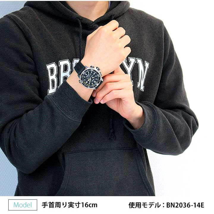 楽天市場】【お取り寄せ】シチズン プロマスター エコドライブ