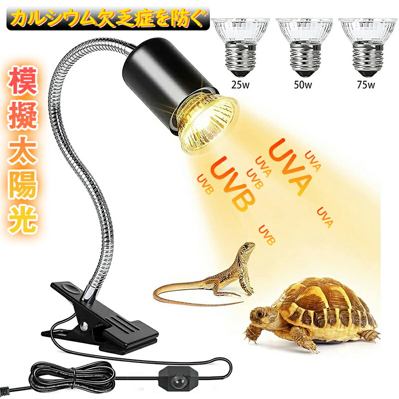 爬虫類 コンパクトトップ60 暖突 ヒーター、ライトなどセット売り