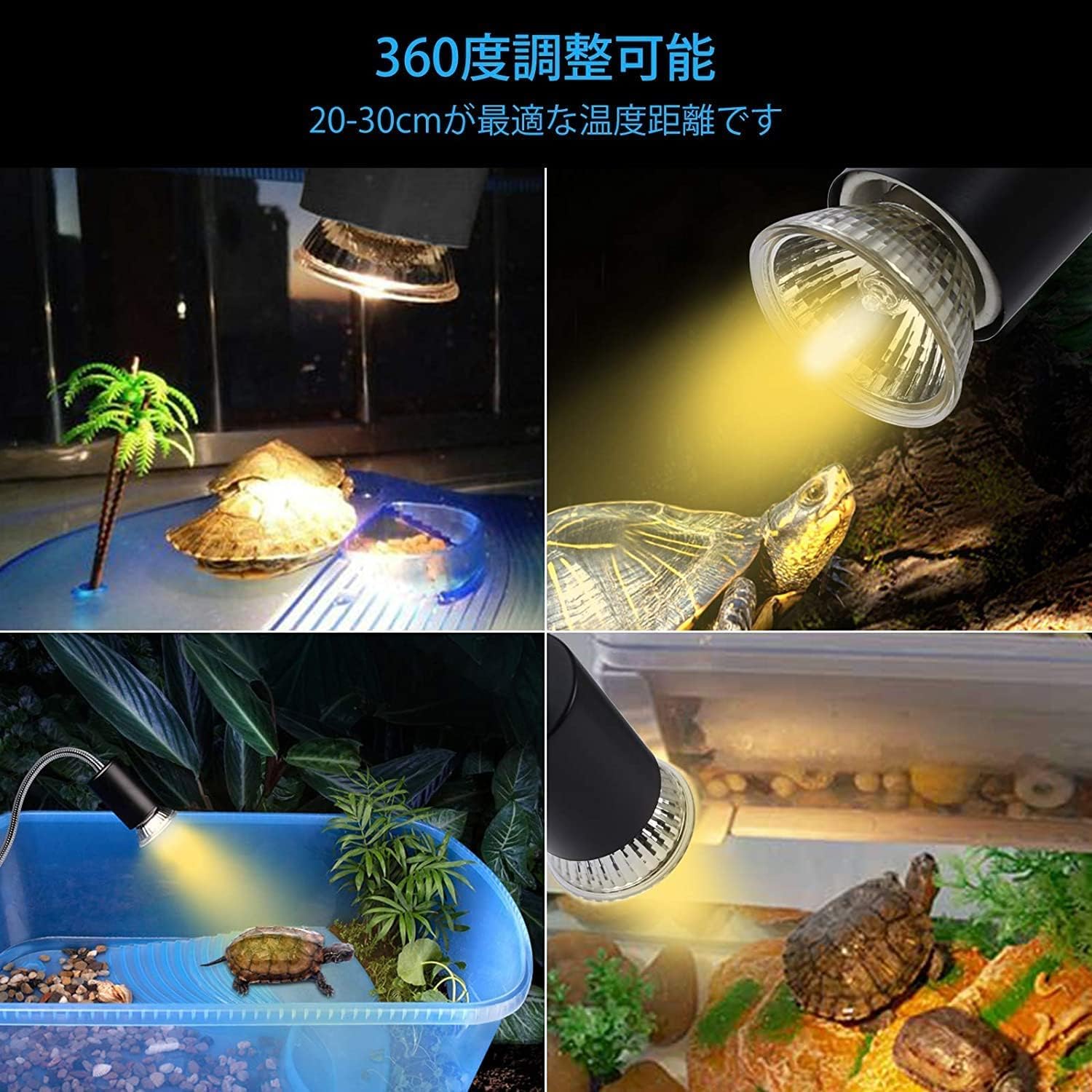 楽天市場】【1/2の確率当選最大100%ポイントバック】「生涯飼育に必要