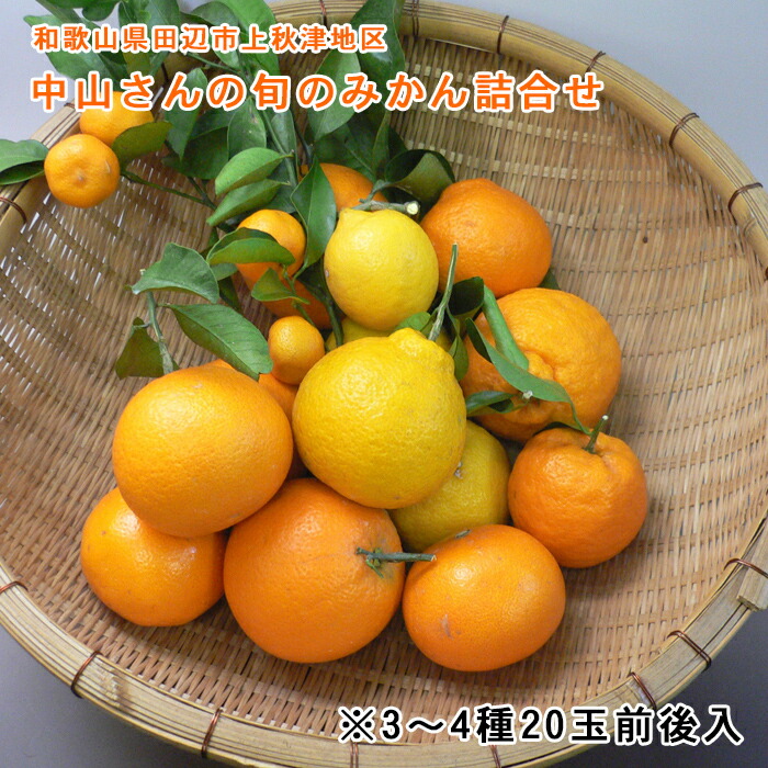 楽天市場】中山さんの旬のみかん詰合せ（約3～4種・20個前後）【送料