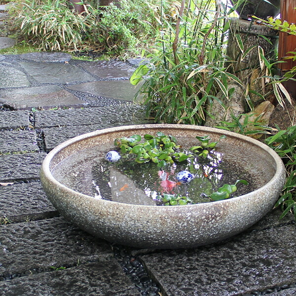 プランター 睡蓮鉢 陶器」の人気商品一覧 | 安い商品を通販サイトから