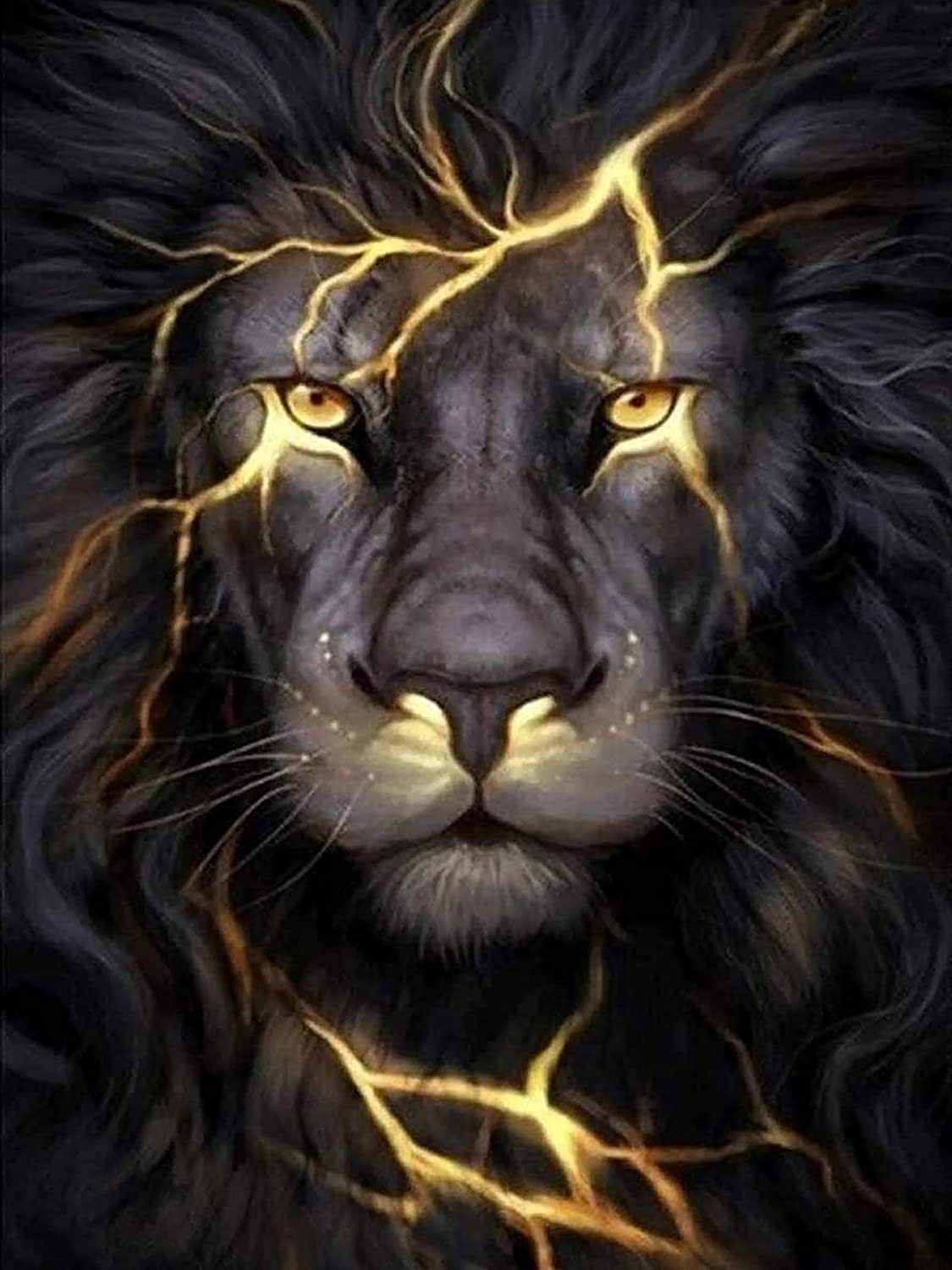 楽天市場】ダイヤモンドアート 5d ライオン 稲妻 黒 雷 獅子 フル