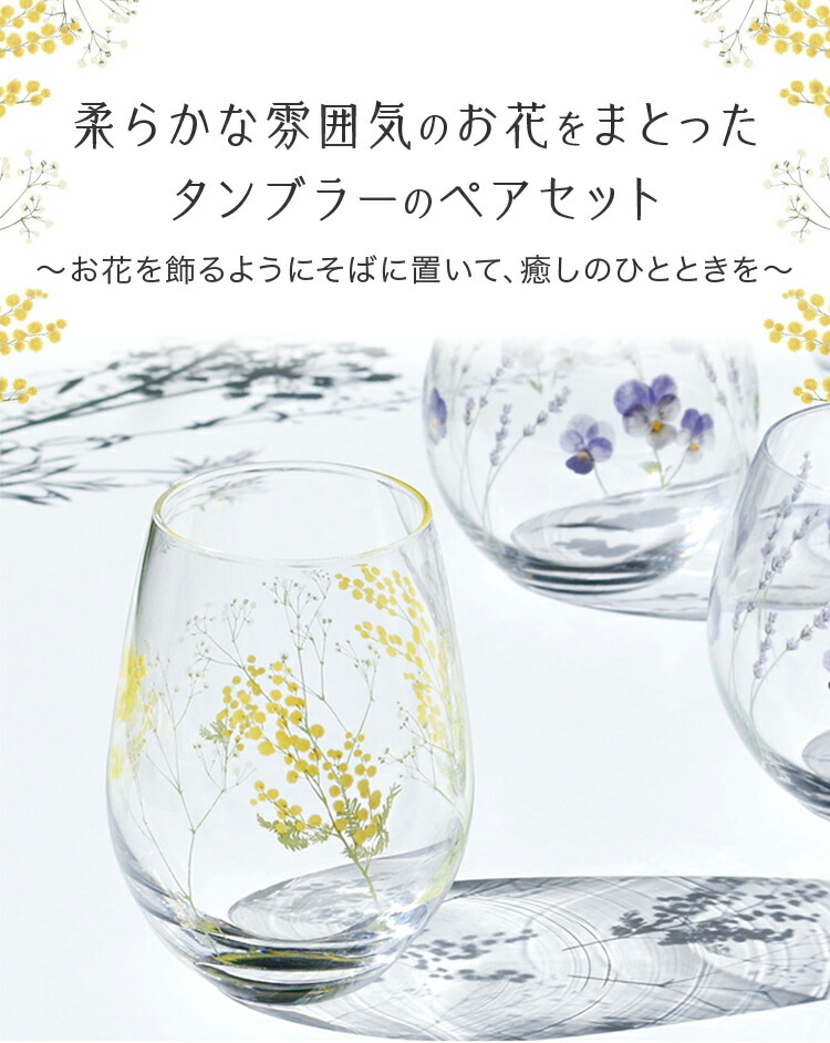 楽天市場】【公式】東洋佐々木ガラス ペアタンブラー ミモザ＆かすみ草