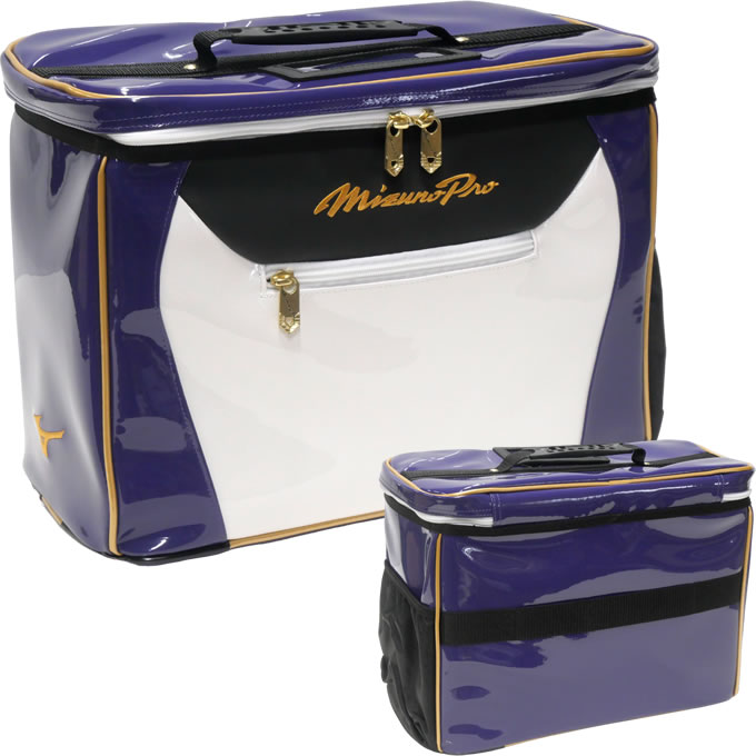 楽天市場】【即日発送可】ミズノ（MIZUNO） 1FJC3S2002 グラブケース 2